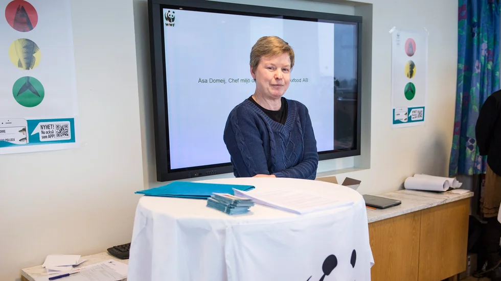 Åsa Domeij, hållbarhetschef vid Axfood, kan bli Sveriges bästa hållbarhetschef.