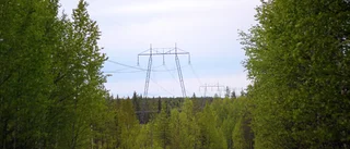 Företag vill starta batterilagring i Gunnebo och Edsbruk