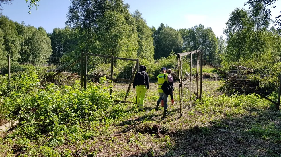 Personal från Ramboll har undersökt platsen i flera års tid.