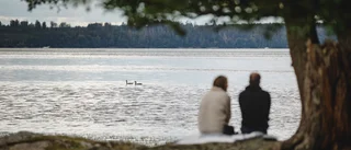 Badstränder vid sjöar riskerar att stängas för allmänheten