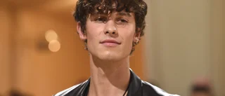 Shawn Mendes ger sig ut på världsturné