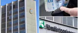 Hundratals bidragsbrott väntar på att utredas