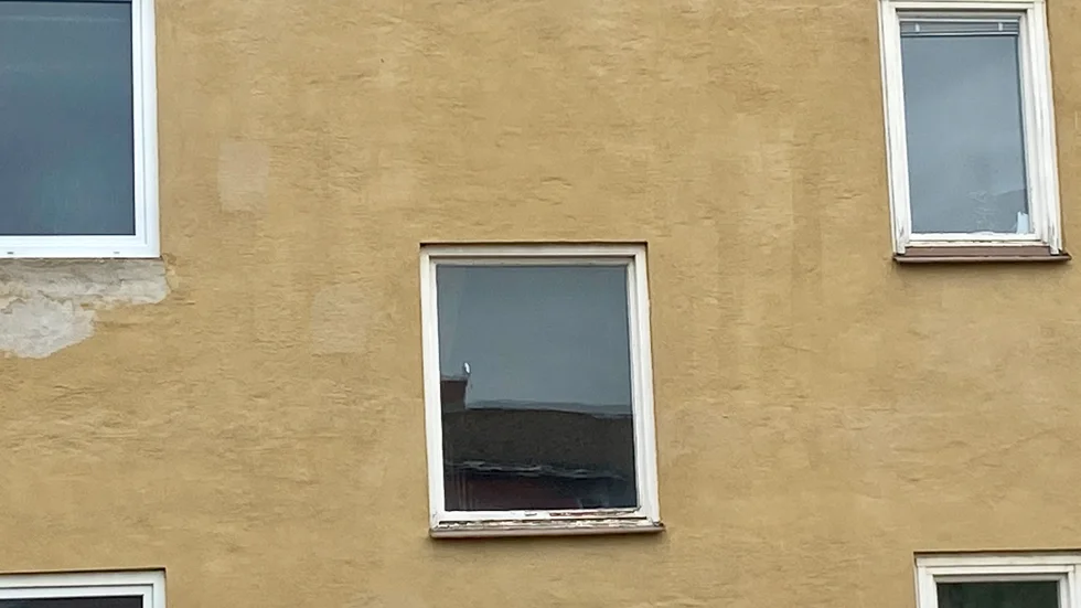 Är det ingen hemma?