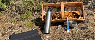 Läsarbilden: Bästa platsen för svamprensning och kaffe