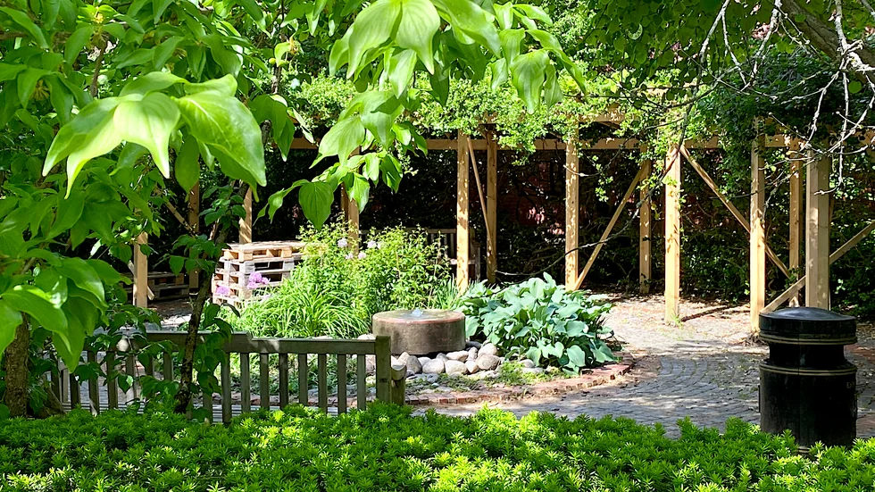 En ny pergola har redan byggts som släpper in mer ljus. Den byggs i ek och får ett bakstycke av stål i rutnätsmönster. De befintliga klätterväxterna bevaras.