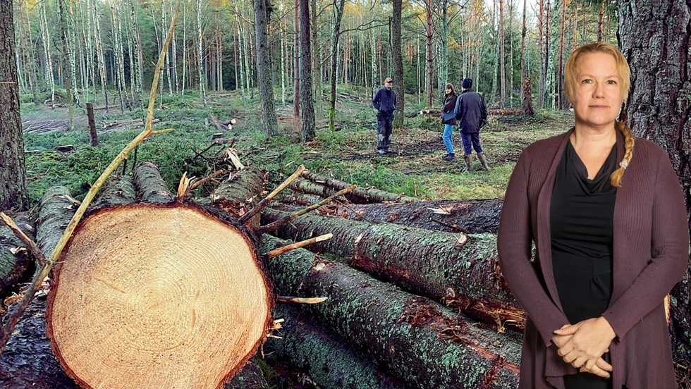 Sverige och Norrbotten behöver skogsbruket betydligt mer än vad vi behöver fler naturreservat.