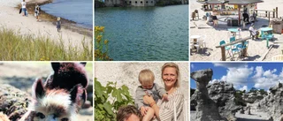UTFLYKTSGUIDE: 10 fantastiska besöksmål på Gotland i sommar