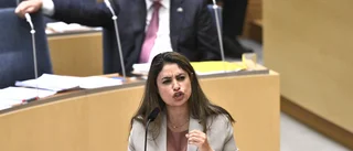 Dadgostar förstör gärna festen