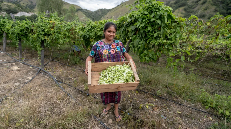 Rosa Camaja från Guatemala samverkar med We Effect