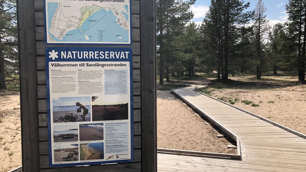 "Visa hänsyn, sluta bryta mot förbudet – lika med att sluta att bada era hundar där", skriver insändarskribenten om Sandängesstranden. (Arkivbild)