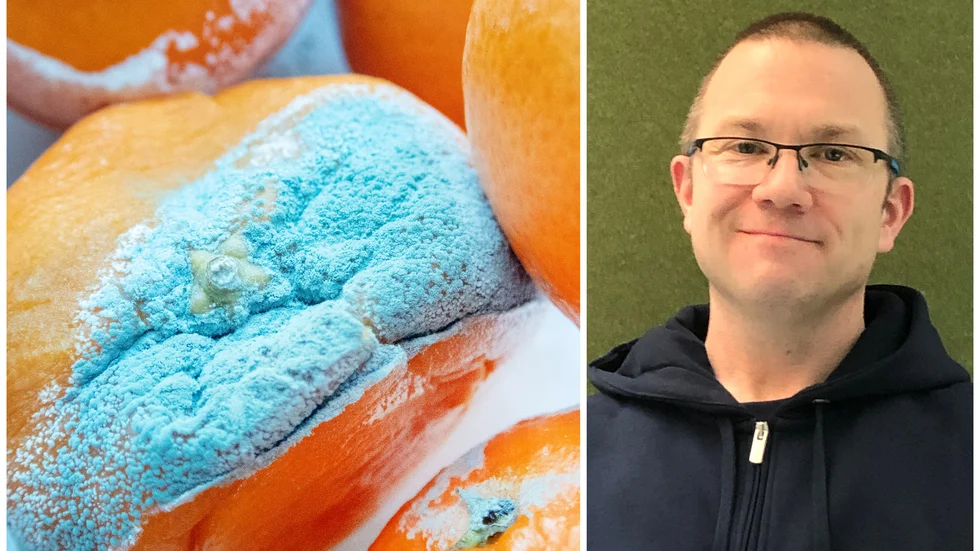 Rötmånaden är här. Det här ska du tänka på för att slippa magsjuka ellet matförgiftning enligt Livsmedelsverkets expert Jonas Toljander.