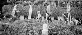 Lokalhistoria i svartvita bilder i bygdegården