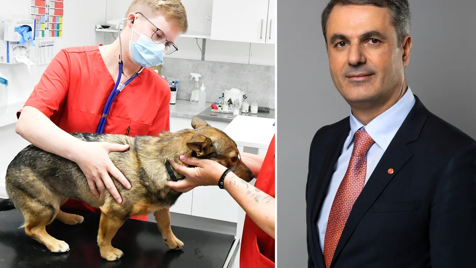 Ibrahim Baylan, näringsminister med ansvar för landsbygdsfrågor, tycker att det var på tiden att en utredning tillsattes.