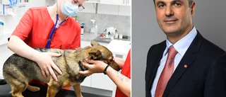 Näringsministern om veterinärbristen