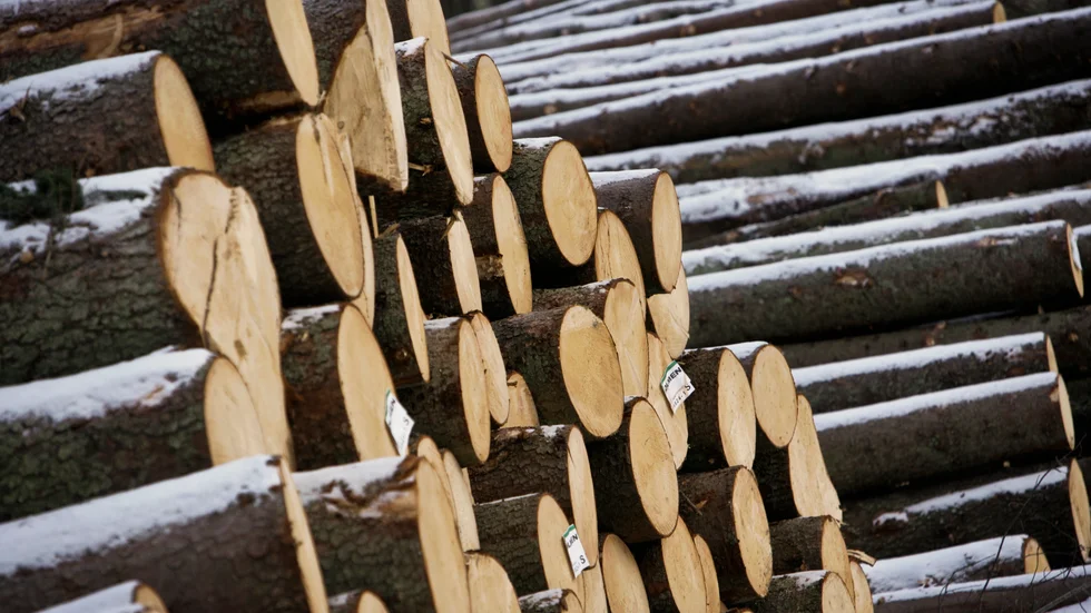 Över 60 hektar skog är avverkningsanmäld vid Gallsjön i Vimmerby kommun. Något som representanter för Skydda Skogen och skogsgruppen i Oskarshamns Fågelklubb har kraftiga invändningar mot. "Vi har inte råd att förlora detta naturarv! Varken gallring eller avverkning av skyddsvärda skogar som denna får ske. Då når vi inte våra miljömål", skriver debattörerna.