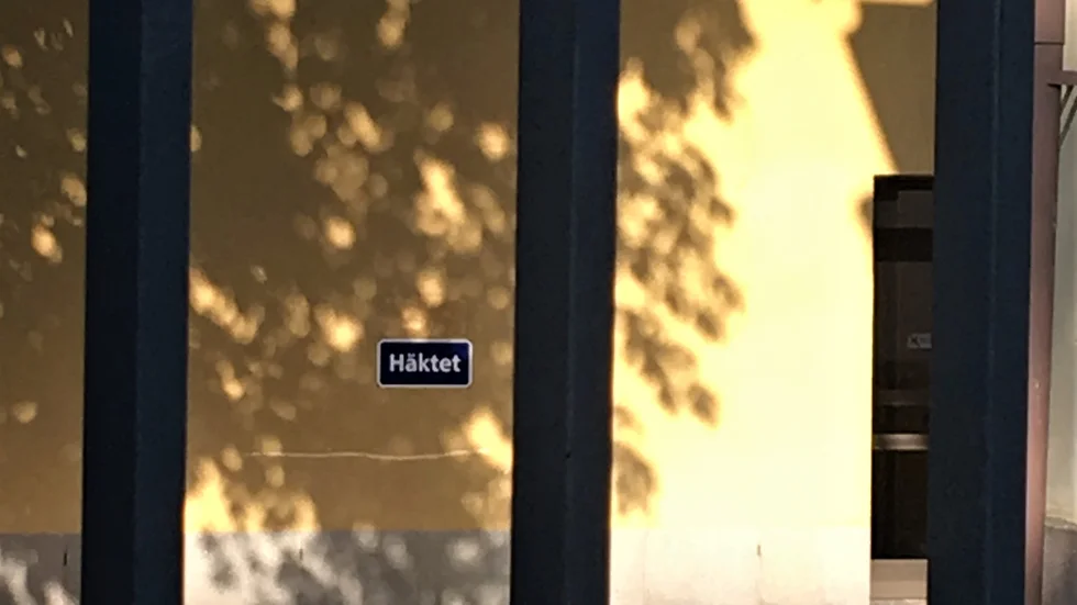 En man i 20-årsåldern har häktats misstänkt för flera mordbrand.