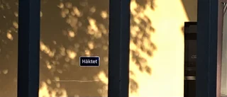 Misstänkt mordbrännare häktades