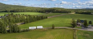 Ökad samdistribution av mat via Norrmejerier: "Norrlänningar får färska livsmedel"