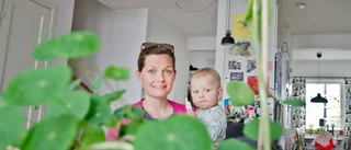 Ökat intresse för odlingstjänst under pandemin: "Jätteroligt att se"