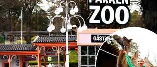 Hårda restriktioner när Parken zoo öppnar: "Vi har själva satt 1 500 besökare som max"