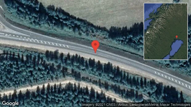 Renar på vägen på E4