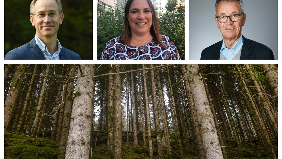 Skribenterna från Skogssällskapet: Calle Nordqvist, Karin Fällman Lillqvist och P-O Wedin, efterlyser ett tydligt tillväxtmål för skogen samtidigt som de svenska miljömålen behöver ses över. 