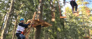 Ny turistattraktion har öppnat i Oxelösund – högt uppe bland trädtopparna
