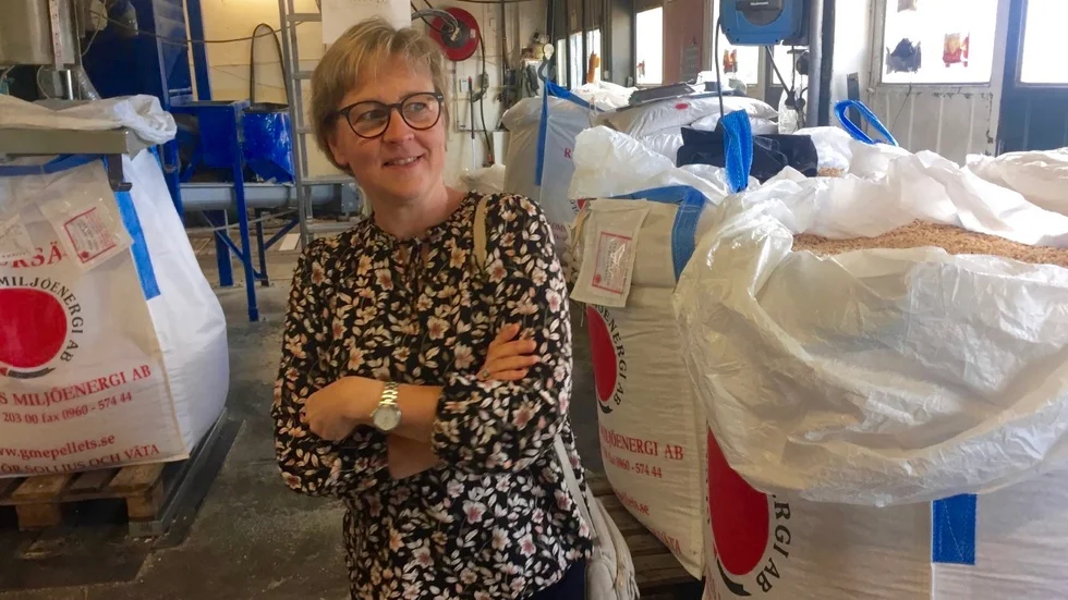 "Sågverkens kamp för att säkra råvaran och samtidigt kanske försöka öka förädlingsgraden påverkar försäljning och leveranser till de renodlade förädlingsföretagen i länet", säger Cecilia Wahlberg Roslund.