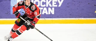 Tidigare NHL-stjärnornas söner mot varandra i het Allettan-match–Piteåtränaren: "De har många rightare och spelar smart"