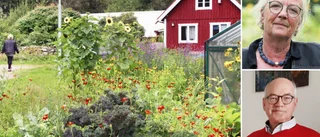 Utflyttarna som lämnat ön de har kämpat för: "Många höjde på ögonbrynen"