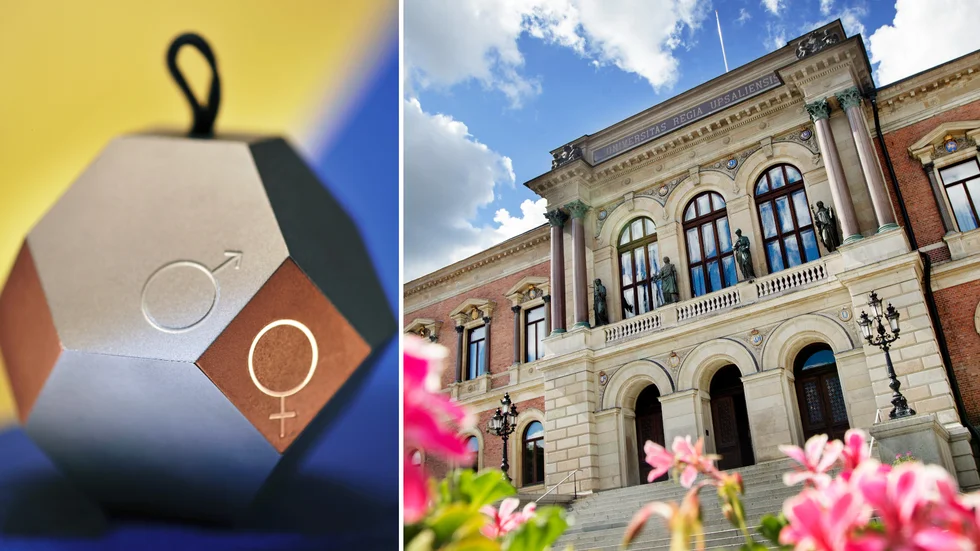 Hjärnäpplet är Uppsala universitets innovationspris.
