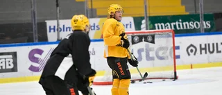 Hugg hoppas sänka gamla favoritlaget: ”Hejade på Brynäs hela min uppväxt – men inte längre”