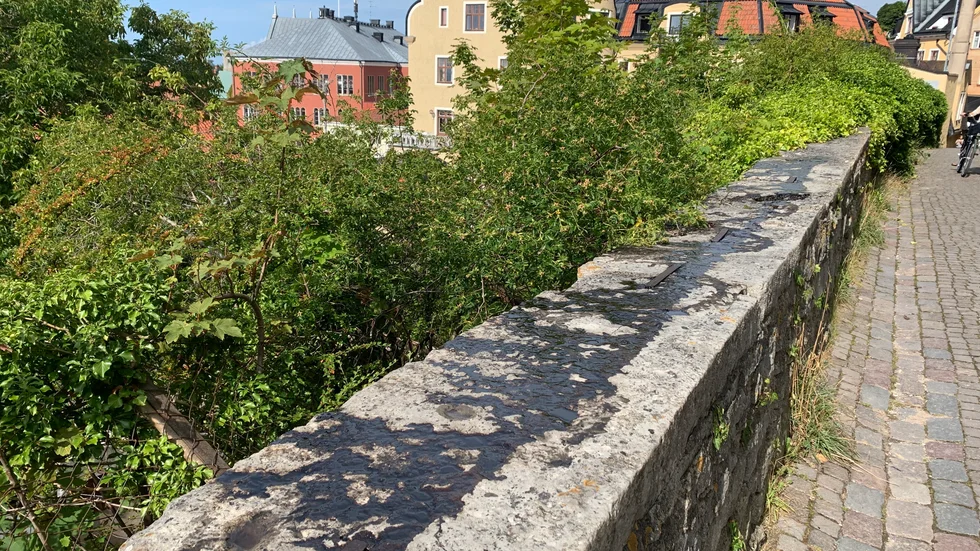 Tjära hade kletats ut över en tio meter lång sträcka på muren på Vårdklockegatan.