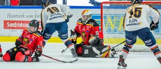 Luleå Hockey/MSSK:s målexplosion mot Djurgården – så var matchen minut för minut