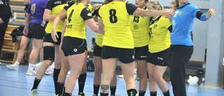 VIF Gutes handbollsdamer drar sig ur serien: För att få tid att bygga något nytt
