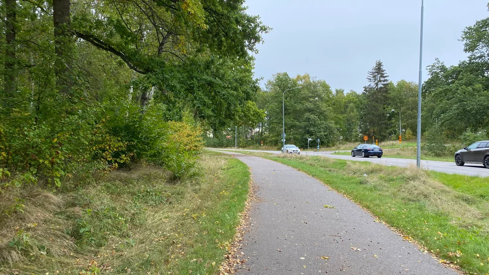 Bergmossen, skogsområdet intill Bergsättersleden, kan framöver bli ett nytt bostadsområde.