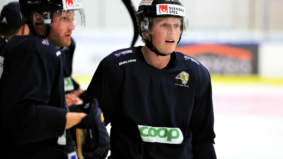 22-åriga Anton Johansson har trots sin ålder rikligt med allsvensk erfarenhet och därtill spelat ett tiotal matcher i SHL.