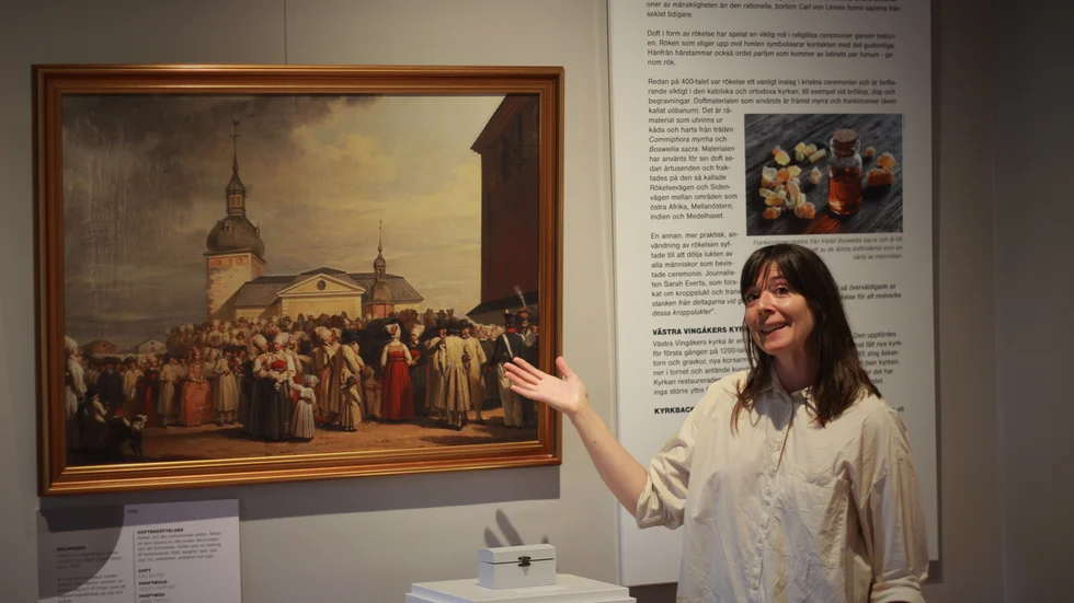 Alice Lewy har satt upp utställningen "Smells like Art" på Säfstaholms slott.