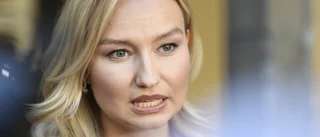 Busch ville ha hårdare straff för förtal
