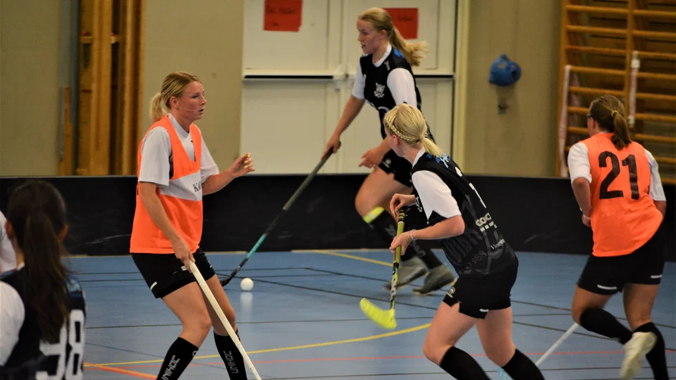Vimmerby IBK fick ihop två fulla lag och genomförde en testmatch i idrottshallen.