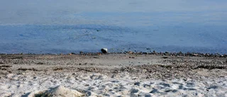 Säg nej till förslaget om försämrat strandskydd