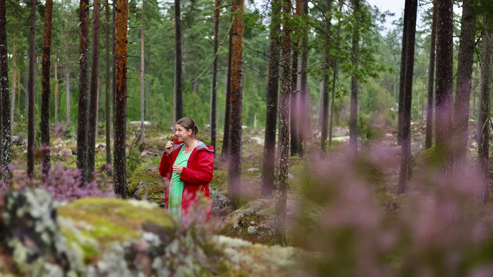 Sofia tycker om att använda alla sina sinnen i naturen - smak, lukt, hörsel, synen och känseln. Men även "det sjätte sinnet".
