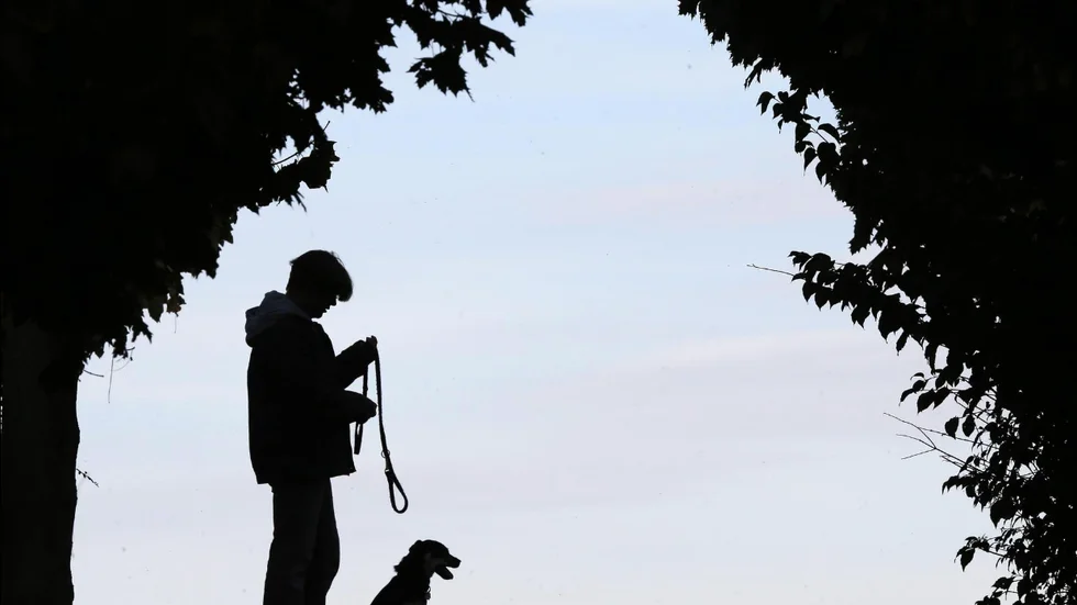 Livet på kvinnans hund gick inte att rädda efter attacken. Bilden har inget med den aktuella händelsen att göra.