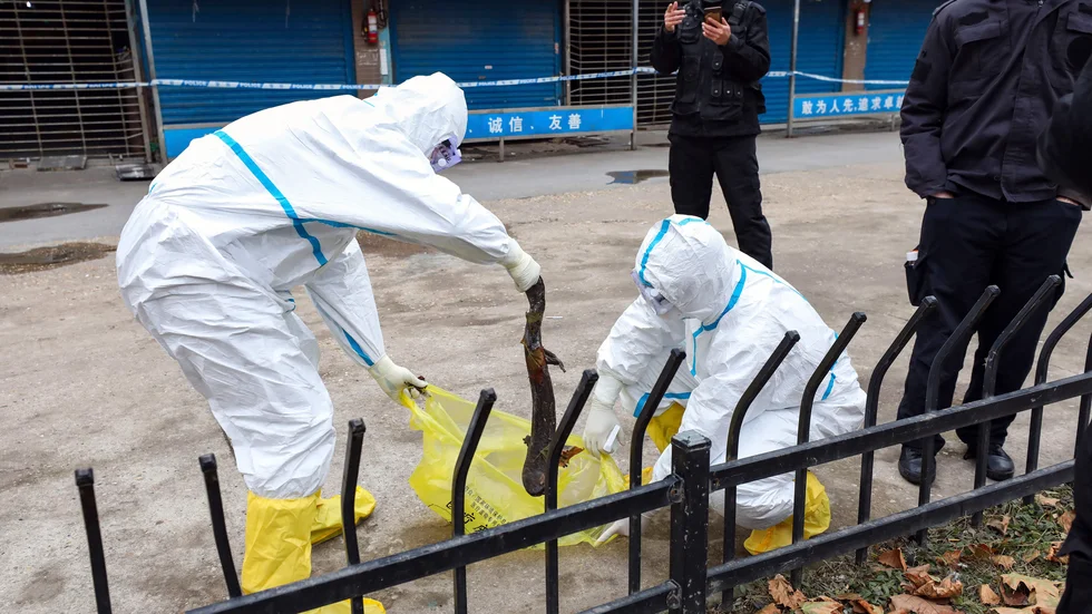 Coronavirusutbrottet i Wuhan i Kina spårades tidigt till marknaden Huanan, där vilda djur såldes som mat. Marknader som säljer levande och döda djur på det här sättet är en central del av vardagen i många städer i Asien. Arkivbild.