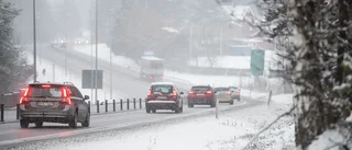 Skellefteås E4-parkering – trafikanternas bajamaja 