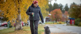 Hundinstruktören kritisk till djurförbudet
