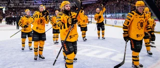 KLART: Dzierkals – och ytterligare åtta spelare – lämnar AIK