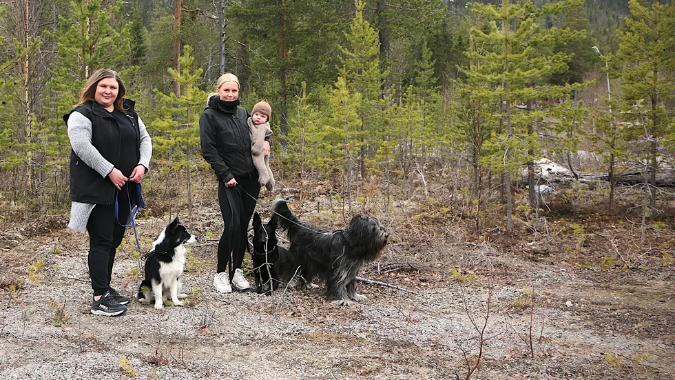 Josefin Granström och Elina Lundberg är båda aktiva i Arvidsjaur brukshundklubb. Nu jobbar de för fullt med förberedelserna inför premiären av terrängloppet. "Det här blev jättestort", säger Josefin. (Arkivbild)