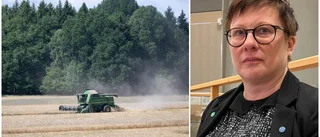 MP: Sverige blir sårbart utan satsningar på lantbruk