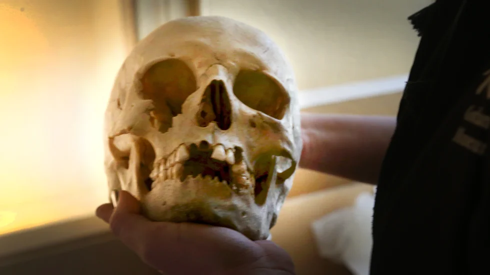Kvinnan hade legat död i jorden utanför min arbetsplats i 1000 år. Med hjälp av DNA söker amerikaner sina band med henne och de andra vikingarna och vill komma till ön.